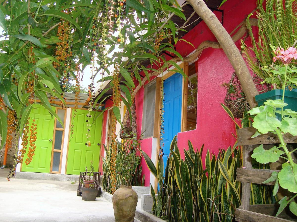 Casa Gitana Hostel & Traveler'S Home Antigua Dış mekan fotoğraf